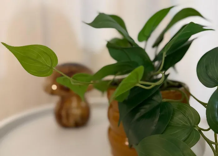 Accommodatie bij particulieren La Digue - Les Embruns A 5 Min A Pied De Nausicaa, Plage, Centre - Cote D'opale Boulogne-sur-Mer