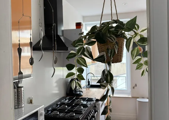 Accommodatie bij particulieren La Digue - Les Embruns A 5 Min A Pied De Nausicaa, Plage, Centre - Cote D'opale